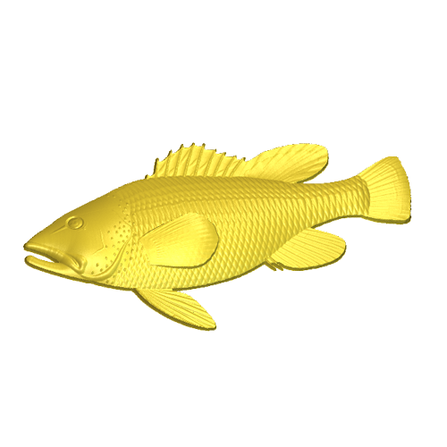 A fish model in the relief clipart library