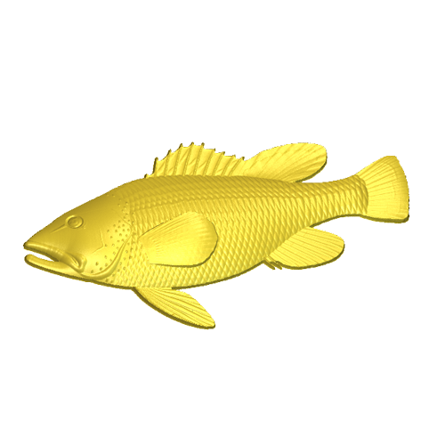 A fish model in the relief clipart library